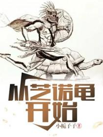 从芝诺龟开始顶点