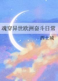 穿越西欧言情