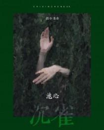 池心沉雀讲什么