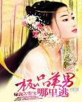 极品男神无防盗