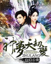 天神劫完整版视频