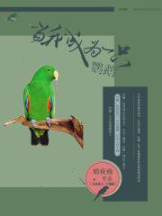 我变成了一只鹦鹉想象作文500字