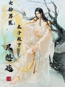 女扮男装之太子倾城