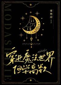 穿进魔法世界但学高数