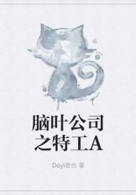 脑叶公司的a