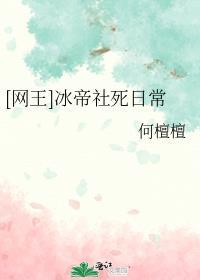 网王冰帝之