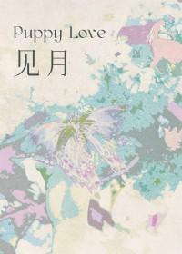 见月小西饼