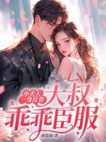 小夫人又美又甜睡前