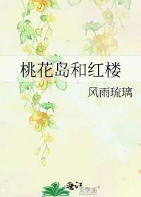 桃花岛和红楼TXT