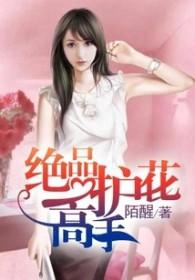 绝品护花高手陈笑简介