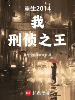 刑侦之王手打无错字版