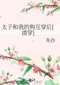 清穿和太子在一起的
