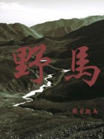 野马电池涨0.35%