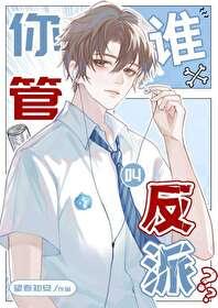 管谁叫反派?!