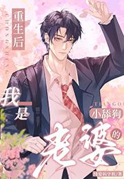 重生之我老婆是天后