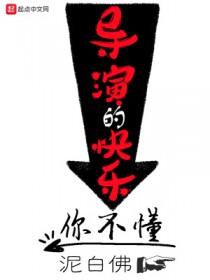 导演快乐你不懂笔趣