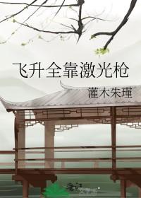 飞升教程