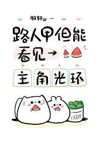 路人但能看见主角光环晋江