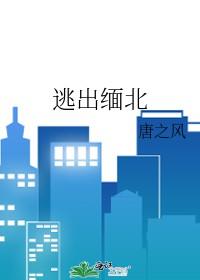 逃出缅北纸牌游戏