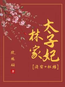 [清穿+红楼