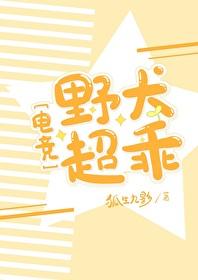 野犬超乖电竞