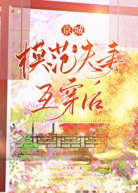 京城模范夫妻互穿后txt