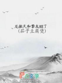 龙傲天和挚友HE了(茄子豆腐煲)