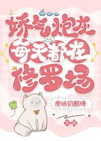 漂亮娇气包在修罗场里当炮灰反派