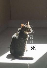爱到死去