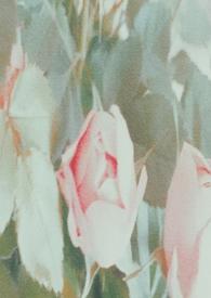 谁来拯救这个世界