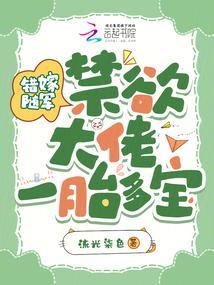 错嫁系列