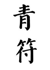 青符是什么意思