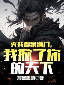 我掀了你的天下秦少凡