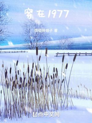 穿在1977女主