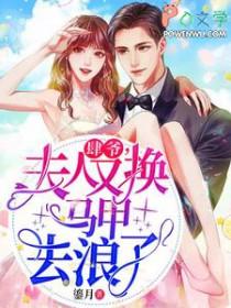 夫人又换马甲去浪了TXT