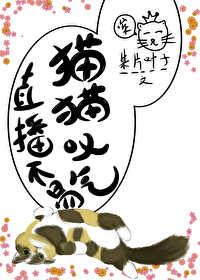 猫猫叹气 某片叶子
