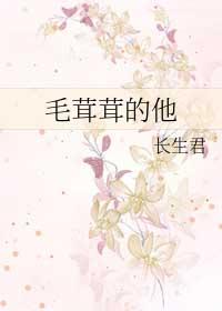 毛茸茸的内容是什么