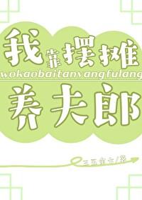 我靠摆摊养夫郎作者三五余七免费