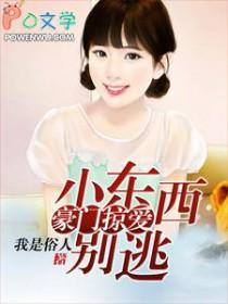 豪门少爷们的小东西