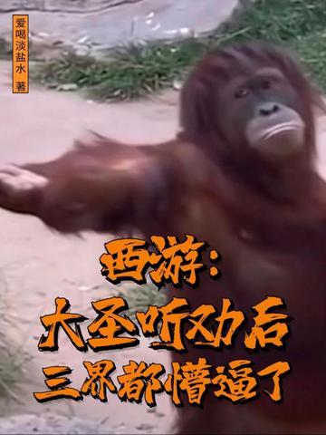 西游记大圣歌视频