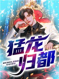 猛龙所在的城市