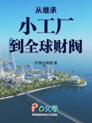 从继承家产到世界财阀免费阅读