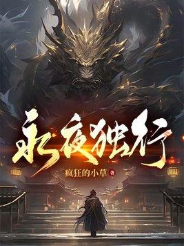 永夜独行TXT完本