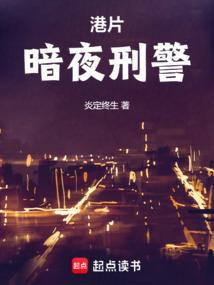 港片暗夜刑警txt