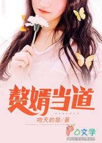 赘婿当道全部章节