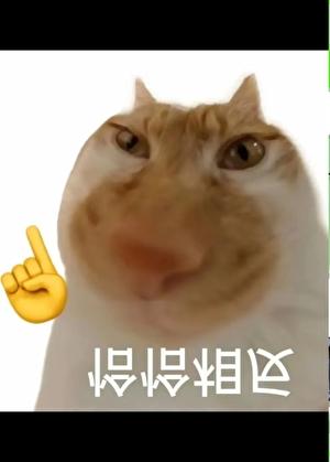 长生种123