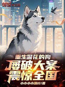 屡破大案震惊全国 作者 小小小小落
