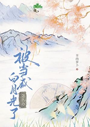 拐个太傅来压寨TXT