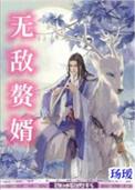无敌赘婿奶爸