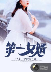 第一女婿 卢小少